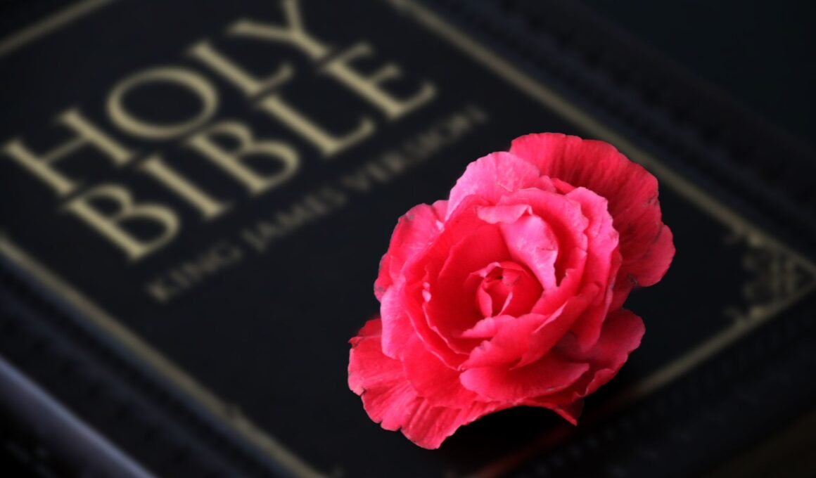 4 Types of Love in the Bible: 8 Lessons on Divine Affection