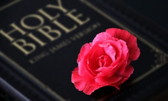 4 Types of Love in the Bible: 8 Lessons on Divine Affection