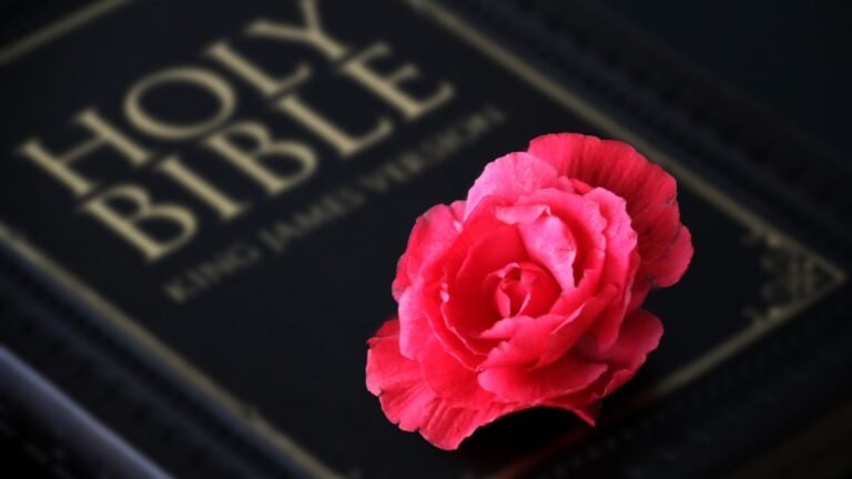 4 Types of Love in the Bible: 8 Lessons on Divine Affection