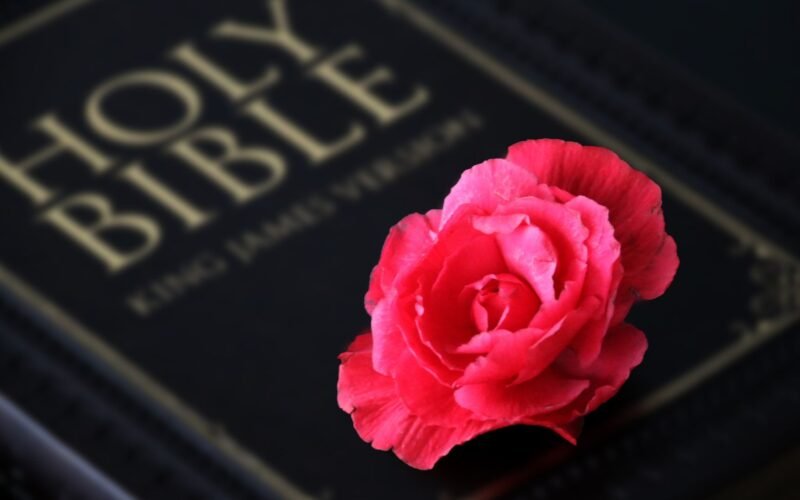 4 Types of Love in the Bible: 8 Lessons on Divine Affection