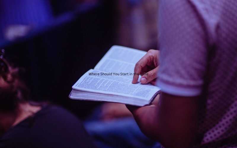 Where Should You Start in the Bible
