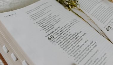 Olive Tree In The Bible