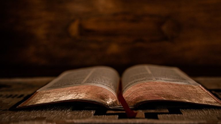 Spiritual Yellow Butterfly Meaning in the Bible