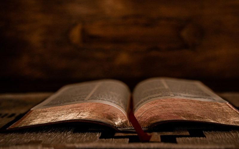 Spiritual Yellow Butterfly Meaning in the Bible