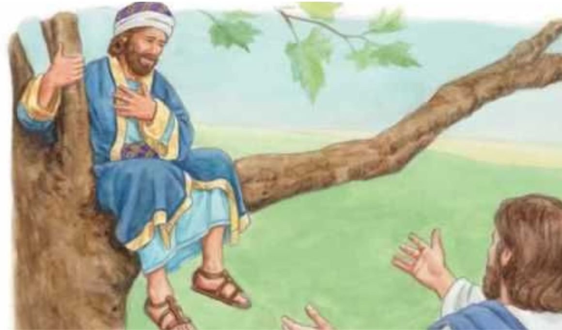 Zacchaeus in the Bible 9 Lessons from a Changed Man