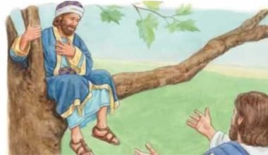 Zacchaeus in the Bible 9 Lessons from a Changed Man