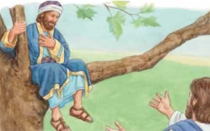 Zacchaeus in the Bible 9 Lessons from a Changed Man
