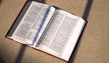 cherubim in the bible