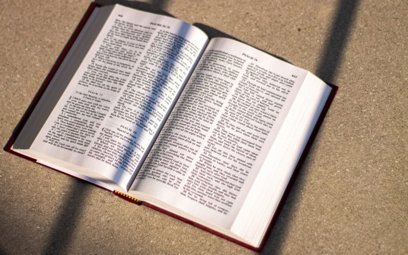 cherubim in the bible