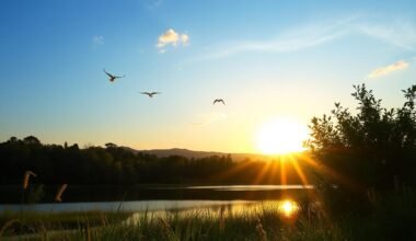 Morning Prayers to Start Your Day