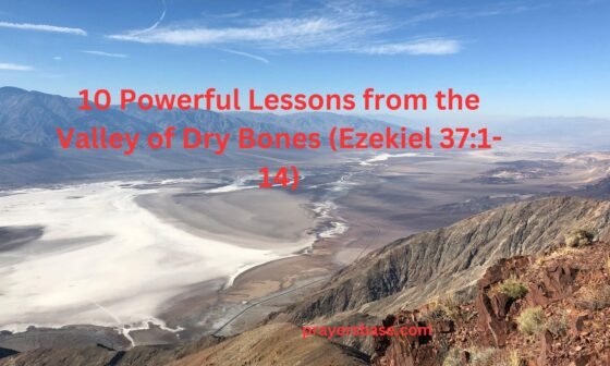 10 Powerful Lessons from the Valley of Dry Bones (Ezekiel 37:1-14)