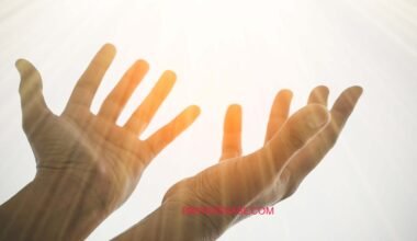 7 Psalm 91 Prayers for Protection for You and Your Family