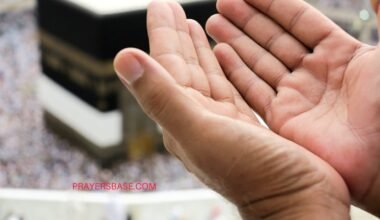 Bible Verses to Pray for a Life Partner