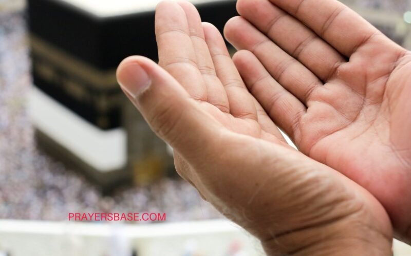 Bible Verses to Pray for a Life Partner