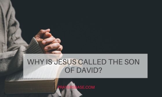 Why Is Jesus Called the Son of David?