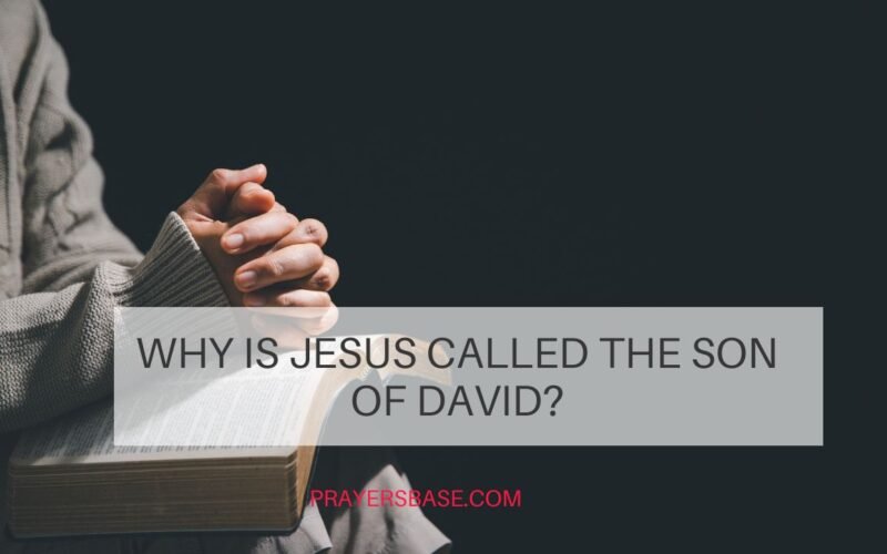 Why Is Jesus Called the Son of David?