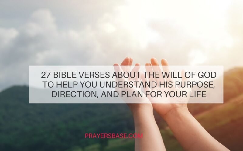Bible Verses About the Will of God