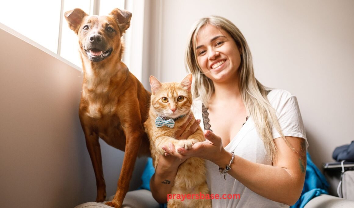 Prayers for a Sick Dog