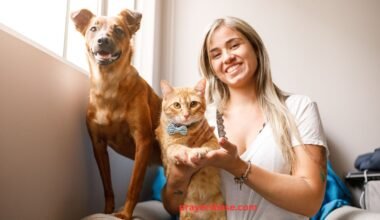 Prayers for a Sick Dog