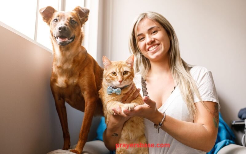 Prayers for a Sick Dog