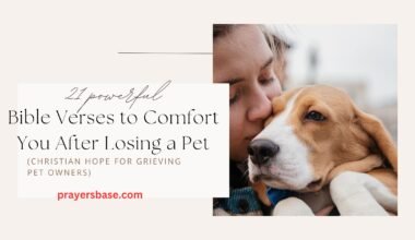 Bible Verses to Comfort You After Losing a Pet