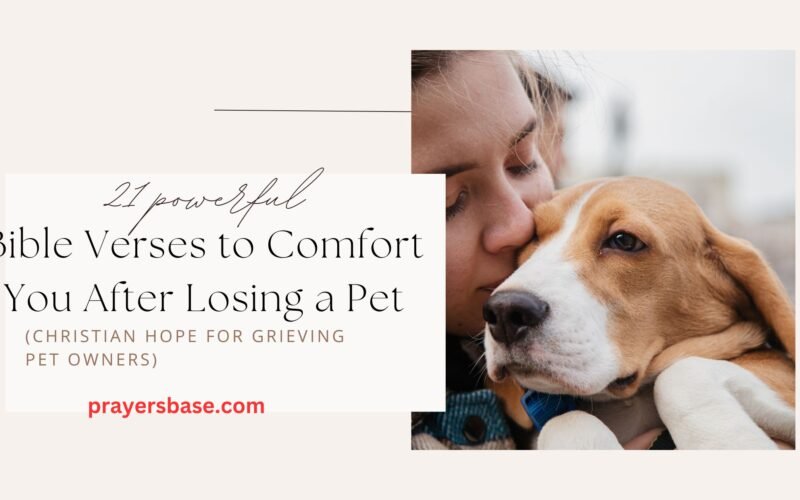 Bible Verses to Comfort You After Losing a Pet
