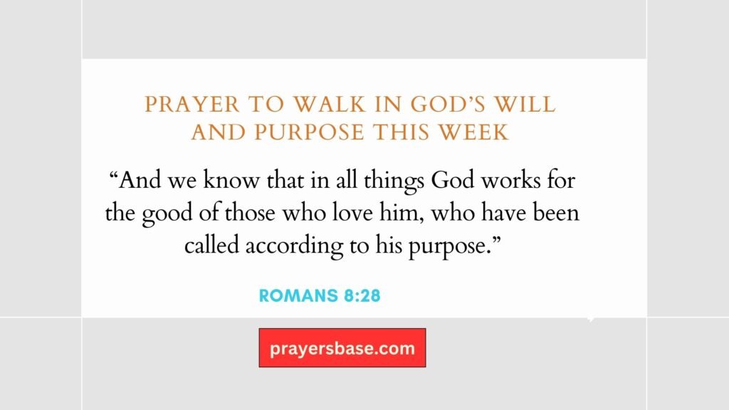 Prayer to Walk in God’s Will and Purpose This Week