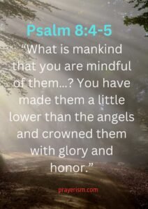 Psalm 8:4-5