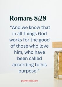 Romans 8:28