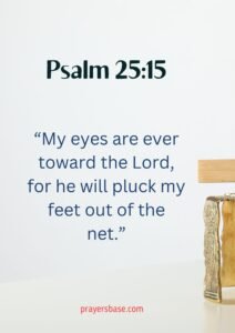Psalm 25:15