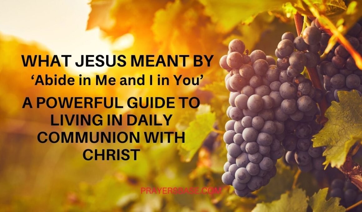 Abide in Me and I in You