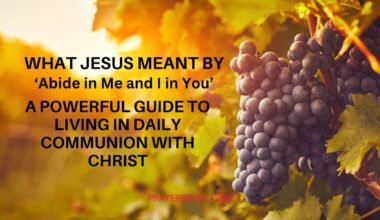 Abide in Me and I in You