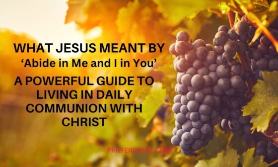 Abide in Me and I in You