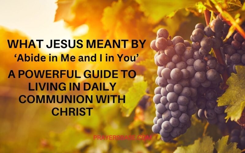 Abide in Me and I in You