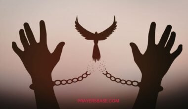 The Truth Shall Set You Free